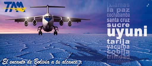 Avion de TAM MIlitar a Uyuni